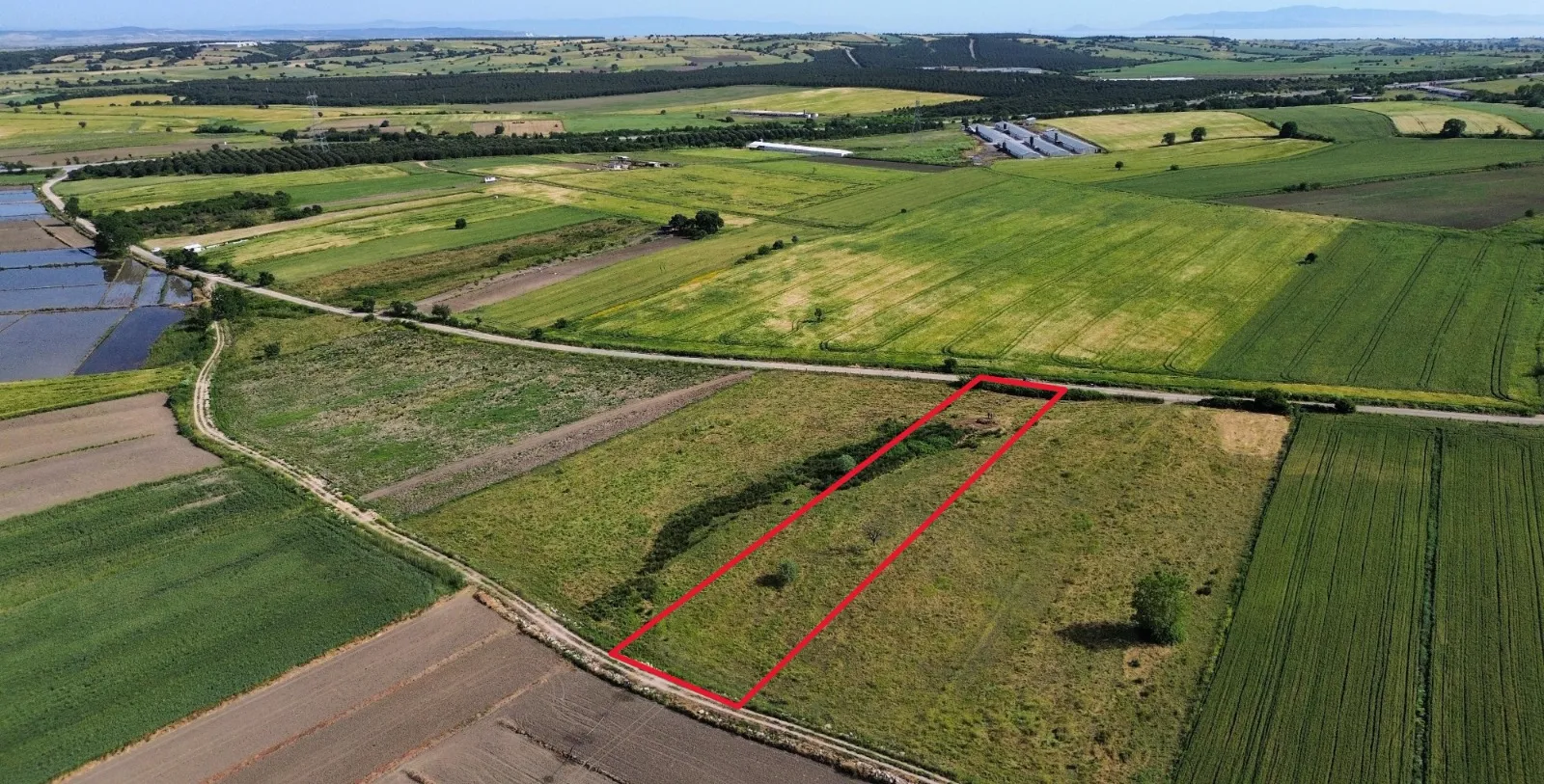 BİGA YUKARIDEMİRCİ'DE OTOYOL VE KÖYE YAKIN 4144 M2 SATILIK TARLA